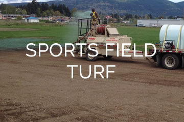 hydroseed sports field turf