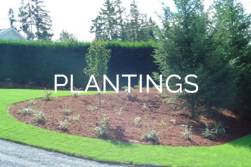 plantings