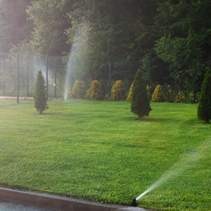 residential irrigation system lawn