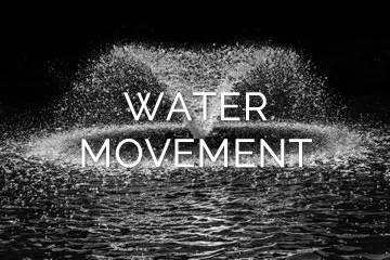 water movement jpg